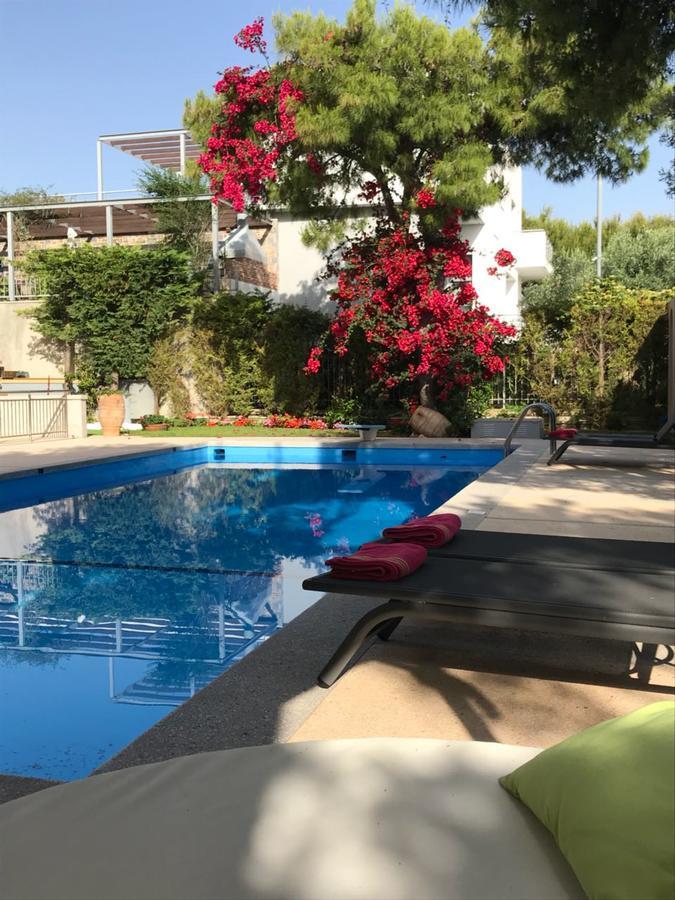 Villa Serenity Pórto Ráfti Extérieur photo